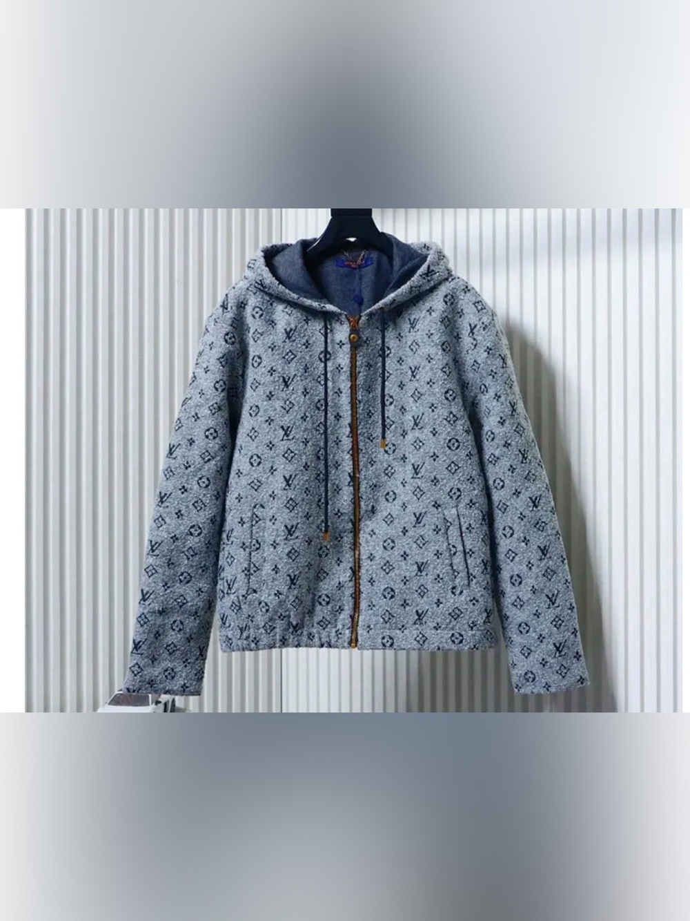 Louis Vuitton Light Gray Monogram Hooded Jacket